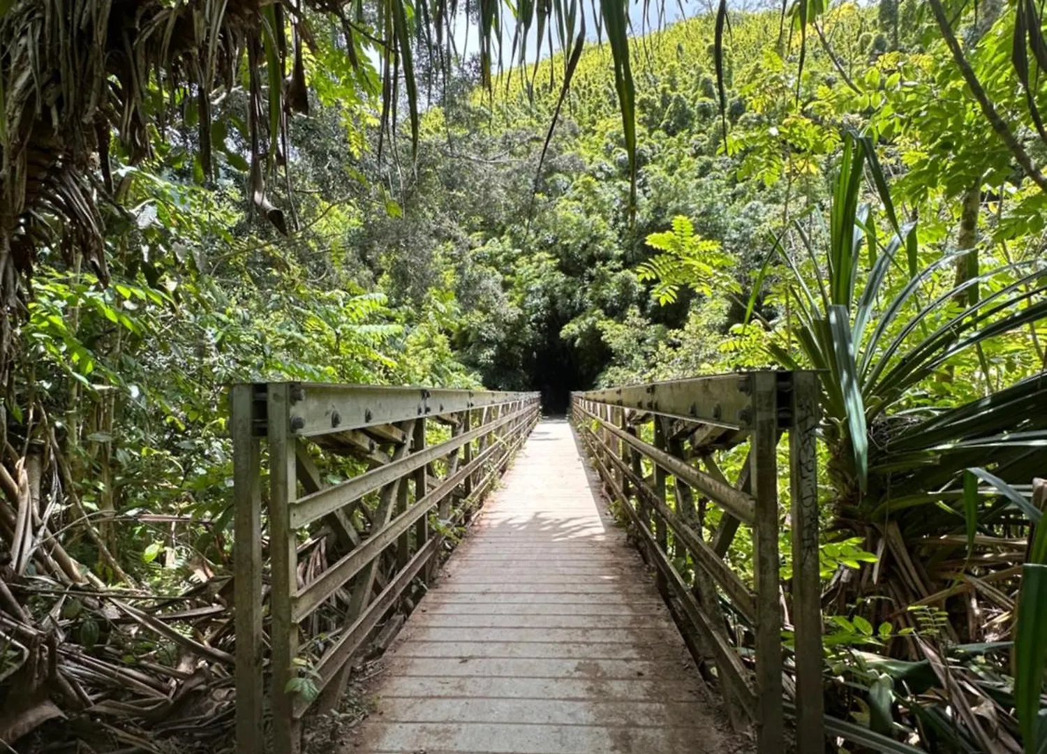 Embark On A Journey Through Maui With Aloha Glamp'S Jeep And Rooftop Tent Allows You To Discover Diverse Campgrounds, Unveiling The Island'S Beauty From Unique Perspectives Each Day Paia